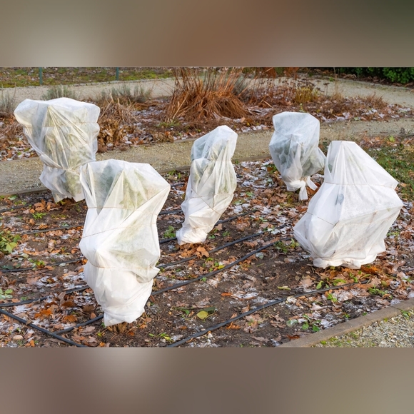 6Pcs Large Winter Drawstring Plant Covers Freeze Frost Protection Bag 39.4"×39.4 - Picture 6 of 6